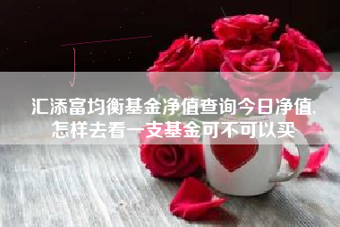 汇添富均衡基金净值查询今日净值,
怎样去看一支基金可不可以买