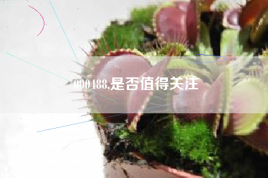 000488,是否值得关注