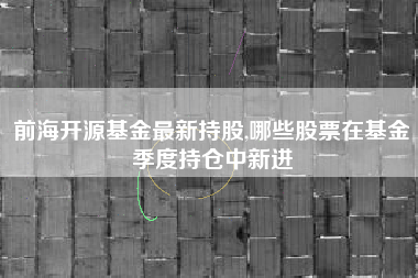 前海开源基金最新持股,哪些股票在基金季度持仓中新进