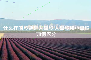 什么样的股票是大盘股,大盘股和小盘股如何区分