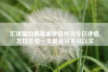汇添富均衡基金净值查询今日净值,
怎样去看一支基金可不可以买
