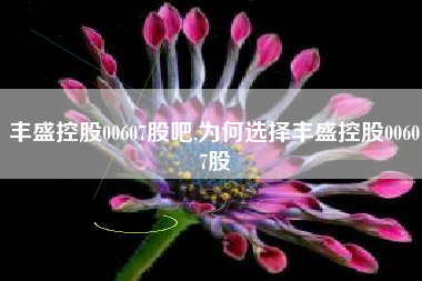 丰盛控股00607股吧,为何选择丰盛控股00607股