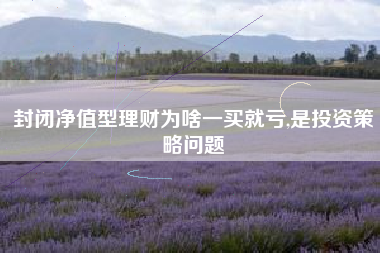 封闭净值型理财为啥一买就亏,是投资策略问题