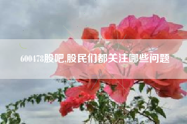 600478股吧,股民们都关注哪些问题