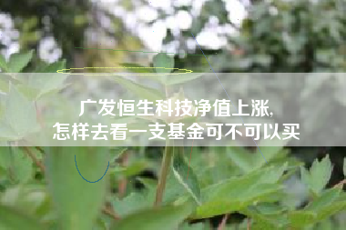 广发恒生科技净值上涨,
怎样去看一支基金可不可以买