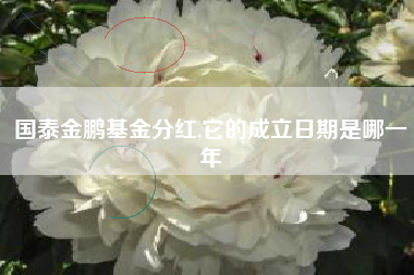 国泰金鹏基金分红,它的成立日期是哪一年