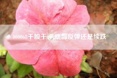 000068千股千评,底部反弹还是续跌