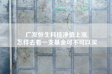 广发恒生科技净值上涨,
怎样去看一支基金可不可以买