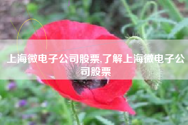 上海微电子公司股票,了解上海微电子公司股票