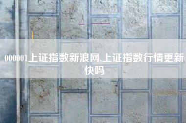 000001上证指数新浪网,上证指数行情更新快吗