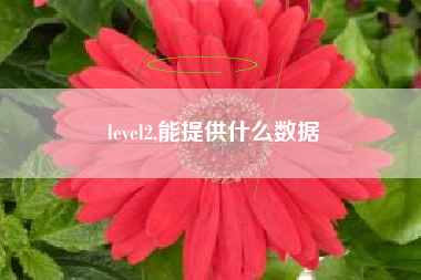 level2,能提供什么数据