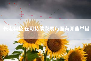 长电科技,在可持续发展方面有哪些举措