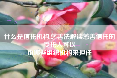 什么是信托机构,慈善法解读慈善信托的受托人可以
由哪些组织机构来担任 什么是信托机构,慈善法解读慈善信托的受托人可以
由哪些组织机构来担任