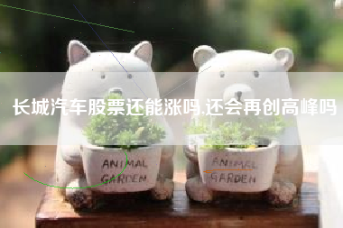 长城汽车股票还能涨吗,还会再创高峰吗