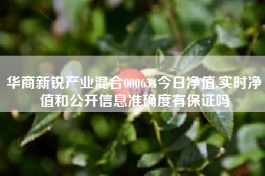 华商新锐产业混合000654今日净值,实时净值和公开信息准确度有保证吗