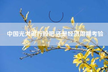 中国光大银行股吧,还是经济周期考验