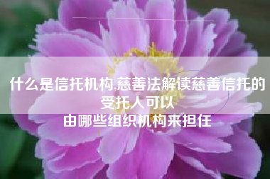 什么是信托机构,慈善法解读慈善信托的受托人可以
由哪些组织机构来担任 什么是信托机构,慈善法解读慈善信托的受托人可以
由哪些组织机构来担任