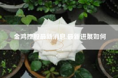 金鸿控股最新消息,最新进展如何