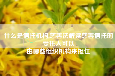 什么是信托机构,慈善法解读慈善信托的受托人可以
由哪些组织机构来担任 什么是信托机构,慈善法解读慈善信托的受托人可以
由哪些组织机构来担任