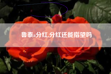 鲁泰a分红,分红还能指望吗