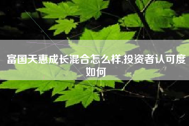 富国天惠成长混合怎么样,投资者认可度如何