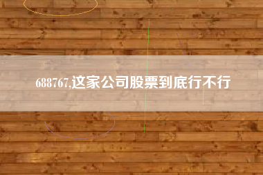 688767,这家公司股票到底行不行