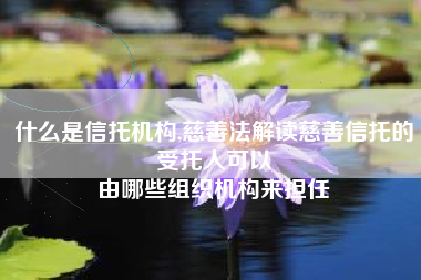 什么是信托机构,慈善法解读慈善信托的受托人可以
由哪些组织机构来担任 什么是信托机构,慈善法解读慈善信托的受托人可以
由哪些组织机构来担任