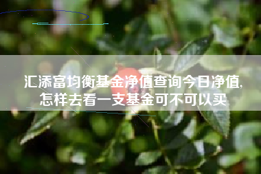 汇添富均衡基金净值查询今日净值,
怎样去看一支基金可不可以买