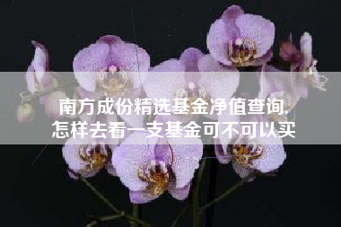 南方成份精选基金净值查询,
怎样去看一支基金可不可以买