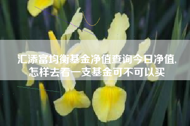 汇添富均衡基金净值查询今日净值,
怎样去看一支基金可不可以买