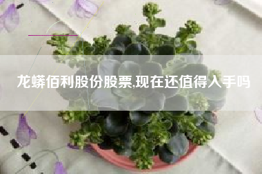 龙蟒佰利股份股票,现在还值得入手吗