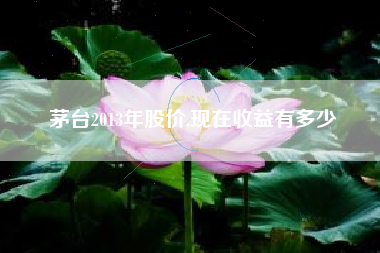茅台2013年股价,现在收益有多少