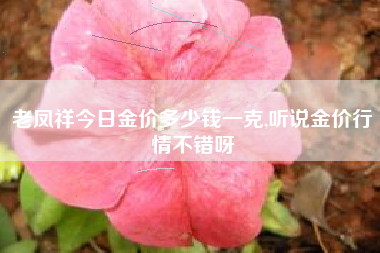 老凤祥今日金价多少钱一克,听说金价行情不错呀