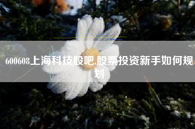 600608上海科技股吧,股票投资新手如何规划