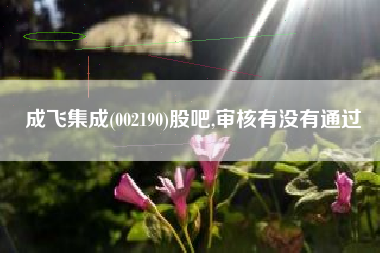 成飞集成(002190)股吧,审核有没有通过