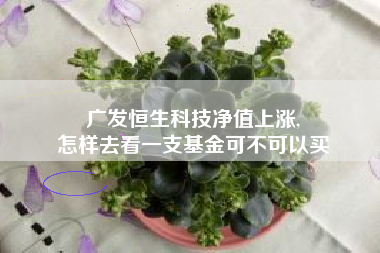 广发恒生科技净值上涨,
怎样去看一支基金可不可以买