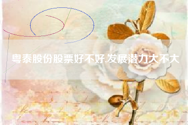 粤泰股份股票好不好,发展潜力大不大