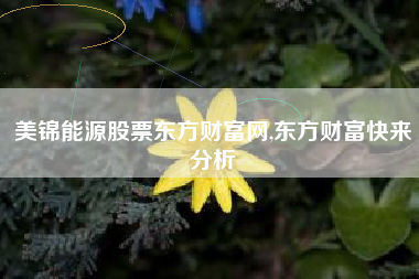 美锦能源股票东方财富网,东方财富快来分析