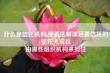 什么是信托机构,慈善法解读慈善信托的受托人可以
由哪些组织机构来担任 什么是信托机构,慈善法解读慈善信托的受托人可以
由哪些组织机构来担任