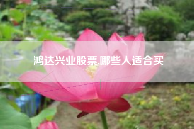 鸿达兴业股票,哪些人适合买