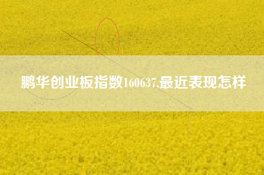 鹏华创业板指数160637,最近表现怎样