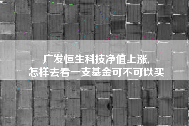 广发恒生科技净值上涨,
怎样去看一支基金可不可以买