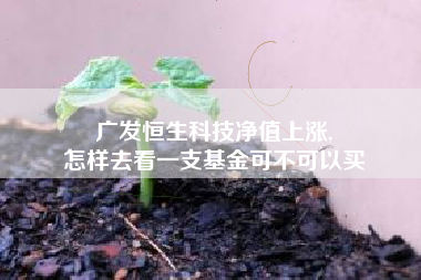 广发恒生科技净值上涨,
怎样去看一支基金可不可以买