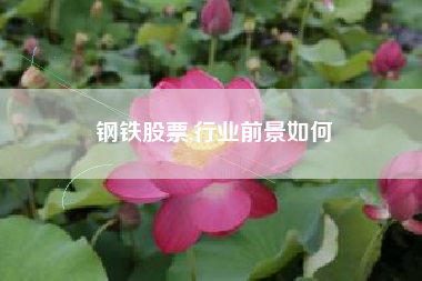 钢铁股票,行业前景如何