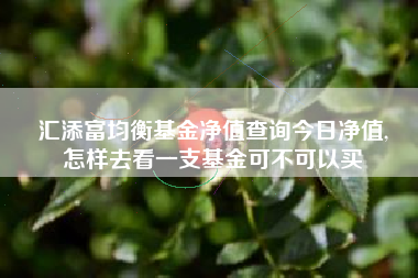 汇添富均衡基金净值查询今日净值,
怎样去看一支基金可不可以买
