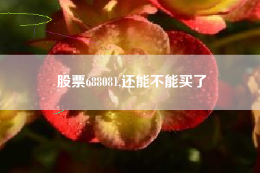 股票688081,还能不能买了