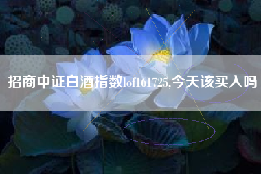 招商中证白酒指数lof161725,今天该买入吗