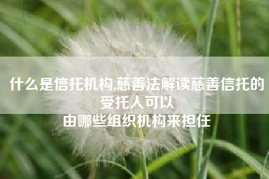 什么是信托机构,慈善法解读慈善信托的受托人可以
由哪些组织机构来担任 什么是信托机构,慈善法解读慈善信托的受托人可以
由哪些组织机构来担任