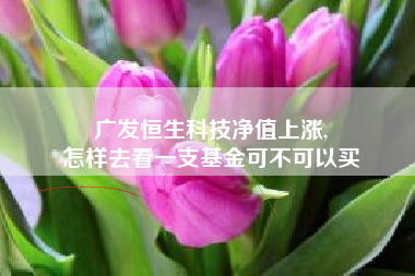 广发恒生科技净值上涨,
怎样去看一支基金可不可以买