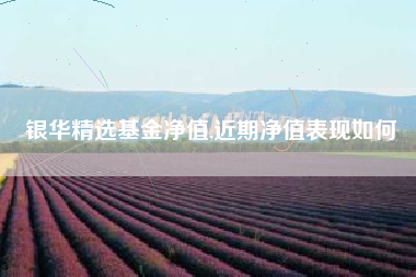 银华精选基金净值,近期净值表现如何